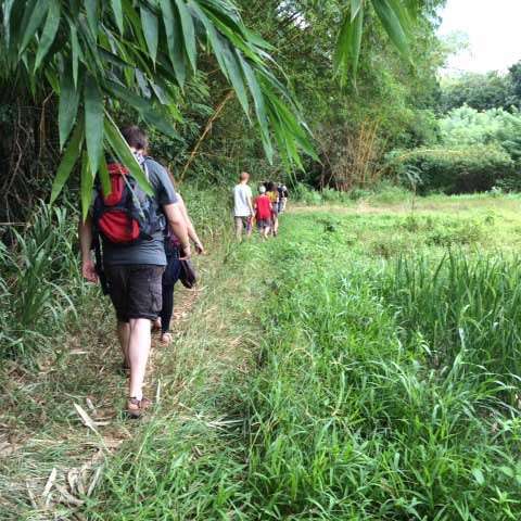 Singha Specials - Tips voor in Sri Lanka
