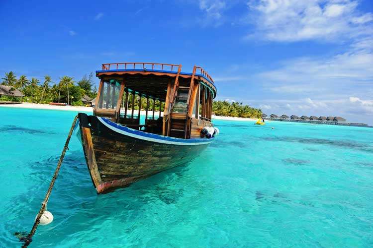 de onderwater pracht van de Malediven