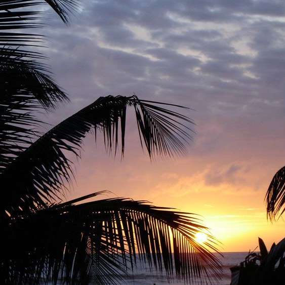 De mooie baai van Mirissa in Sri Lanka